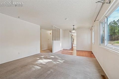 Tiny photo for 3865 Bunk House Drive, Colorado Springs, CO 80917 (MLS # 9537794)