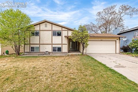 Photo of 4620 Bunchberry Lane, Colorado Springs, CO 80917 (MLS # 7597497)