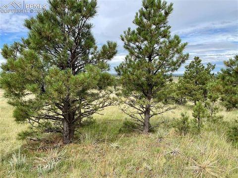 Photo of 31963 Cattle Circle, Ramah, CO 80832 (MLS # 1495906)