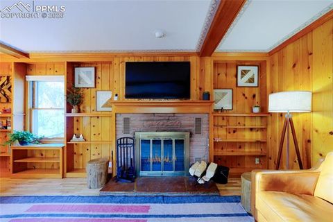 Tiny photo for 5835 Carnia Road, Cascade, CO 80809 (MLS # 1305861)