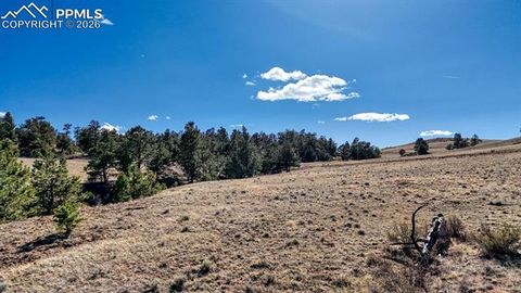 Photo of 50905097 Arikara Trail, Hartsel, CO 80449 (MLS # 7280625)