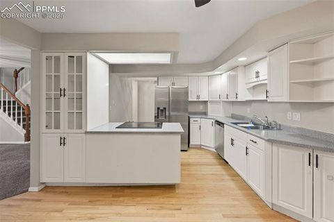 Tiny photo for 2068 Silkwood Drive, Colorado Springs, CO 80920 (MLS # 3879014)