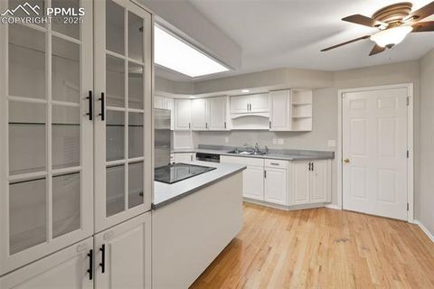 Tiny photo for 2068 Silkwood Drive, Colorado Springs, CO 80920 (MLS # 3879014)