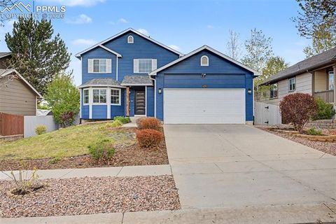 Photo of 6292 Hartman Drive, Colorado Springs, CO 80923 (MLS # 6189123)