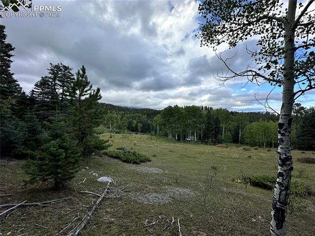 Properties For Sale Listings 9010 County Road 21.1