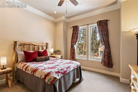 Tiny photo for 1484 Masters Drive, Woodland Park, CO 80863 (MLS # 4982859)