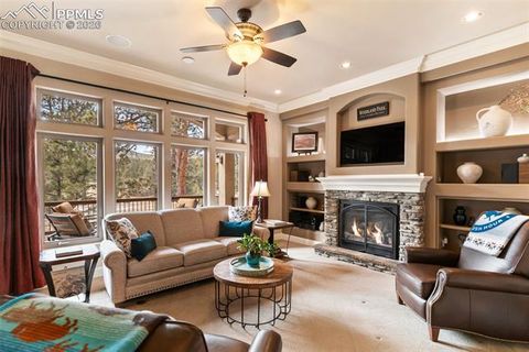 Tiny photo for 1484 Masters Drive, Woodland Park, CO 80863 (MLS # 4982859)