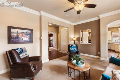 Tiny photo for 1484 Masters Drive, Woodland Park, CO 80863 (MLS # 4982859)