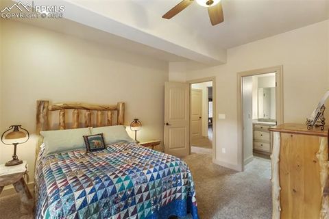 Tiny photo for 1484 Masters Drive, Woodland Park, CO 80863 (MLS # 4982859)