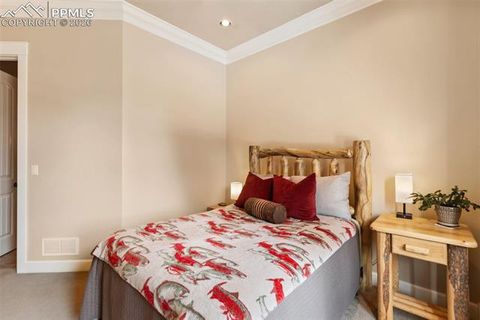 Tiny photo for 1484 Masters Drive, Woodland Park, CO 80863 (MLS # 4982859)