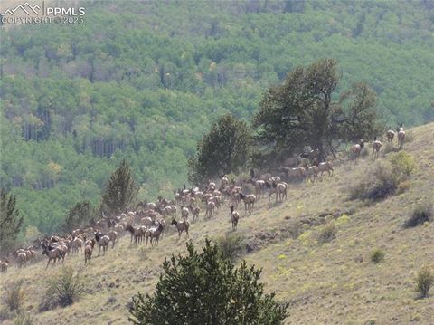 Photo of Guffey, CO 80820 (MLS # 3266568)