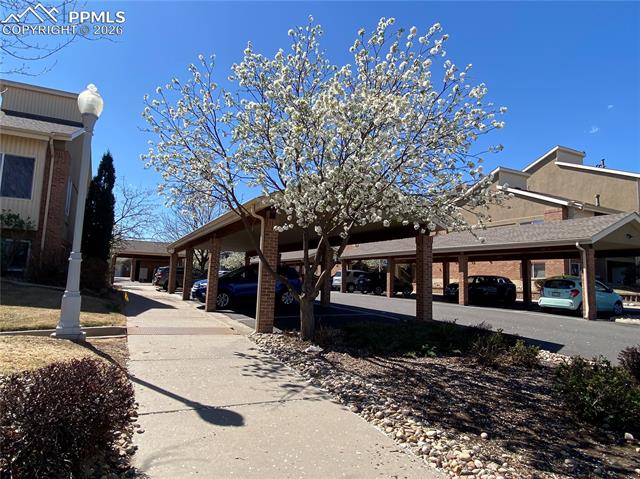 8685 Clay Street 305