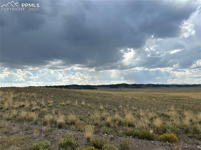 10055 County Road 53