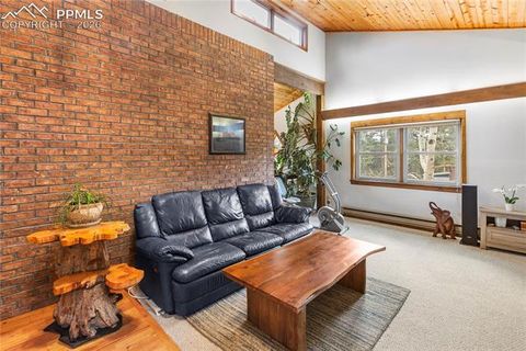 Tiny photo for 36 Illini Drive, Woodland Park, CO 80863 (MLS # 3684239)