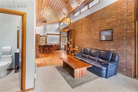 Tiny photo for 36 Illini Drive, Woodland Park, CO 80863 (MLS # 3684239)