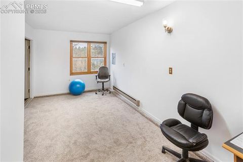 Tiny photo for 36 Illini Drive, Woodland Park, CO 80863 (MLS # 3684239)