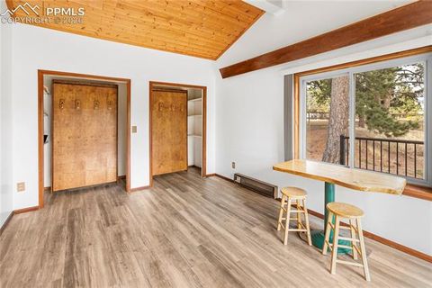 Tiny photo for 36 Illini Drive, Woodland Park, CO 80863 (MLS # 3684239)