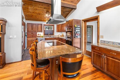 Tiny photo for 36 Illini Drive, Woodland Park, CO 80863 (MLS # 3684239)