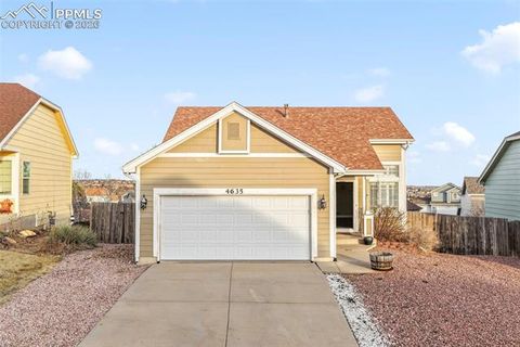 Photo of 4635 Saddle Ridge Drive, Colorado Springs, CO 80922 (MLS # 1836223)