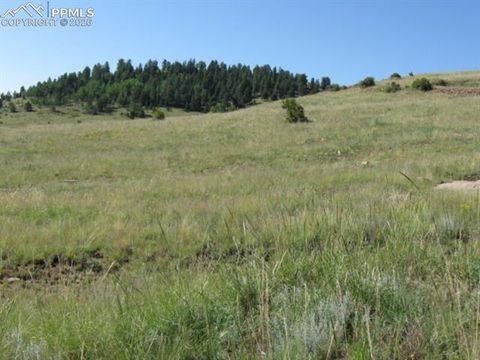 Photo of 34 Shideler Avenue, Cripple Creek, CO 80813 (MLS # 6213609)