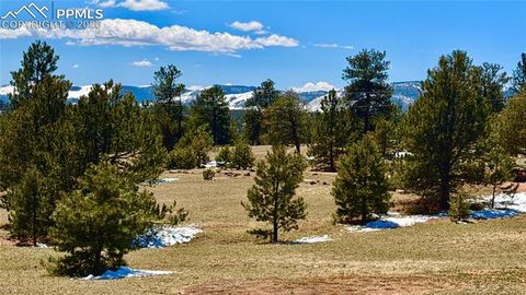 Photo of 418 Scott Drive, Florissant, CO 80816 (MLS # 2078750)