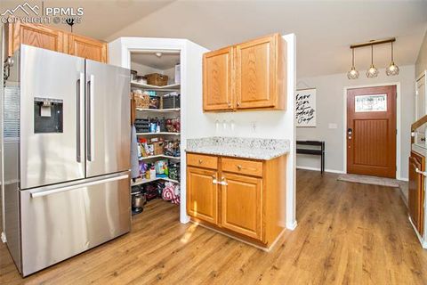 Tiny photo for 1455 Tamarisk Drive, Colorado Springs, CO 80906 (MLS # 3889263)