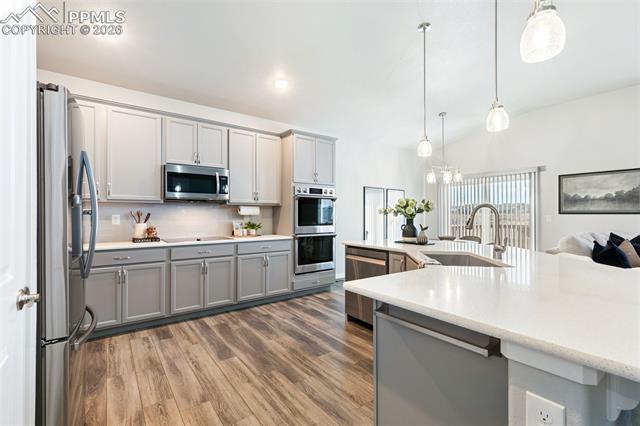 6904 Bigtooth Maple Drive