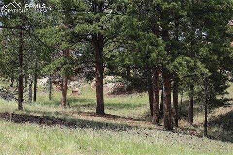 Photo of 247 Deerfield Circle, Florissant, CO 80816 (MLS # 8729409)
