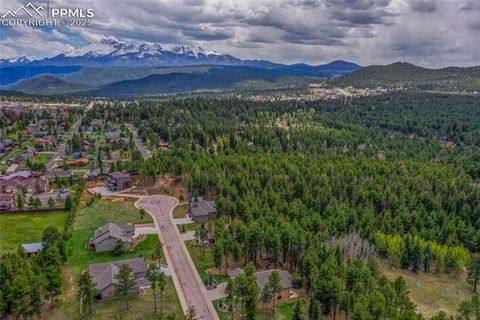 Tiny photo for 1230 Cottontail Trail, Woodland Park, CO 80863 (MLS # 3834808)