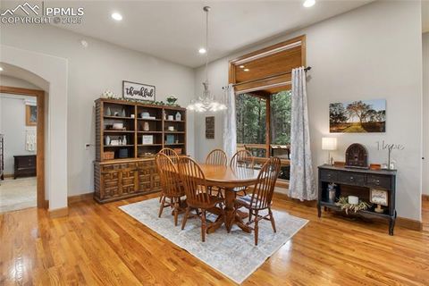 Tiny photo for 1230 Cottontail Trail, Woodland Park, CO 80863 (MLS # 3834808)