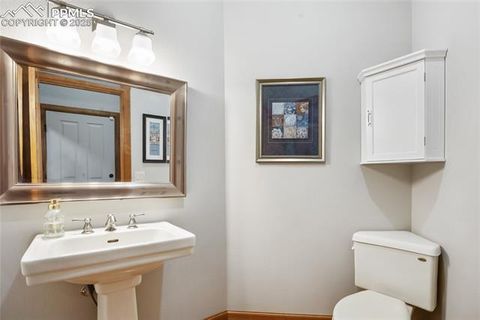 Tiny photo for 1230 Cottontail Trail, Woodland Park, CO 80863 (MLS # 3834808)