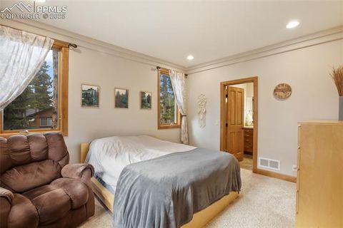 Tiny photo for 1230 Cottontail Trail, Woodland Park, CO 80863 (MLS # 3834808)