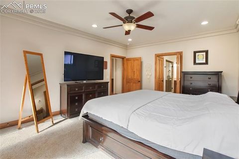 Tiny photo for 1230 Cottontail Trail, Woodland Park, CO 80863 (MLS # 3834808)