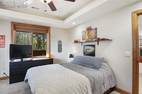Tiny photo for 1230 Cottontail Trail, Woodland Park, CO 80863 (MLS # 3834808)