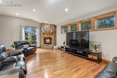 Tiny photo for 1230 Cottontail Trail, Woodland Park, CO 80863 (MLS # 3834808)