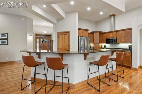 Tiny photo for 1230 Cottontail Trail, Woodland Park, CO 80863 (MLS # 3834808)