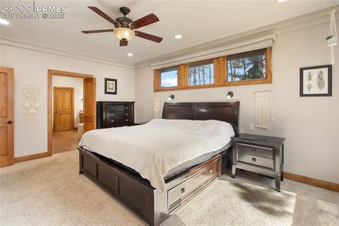 Tiny photo for 1230 Cottontail Trail, Woodland Park, CO 80863 (MLS # 3834808)