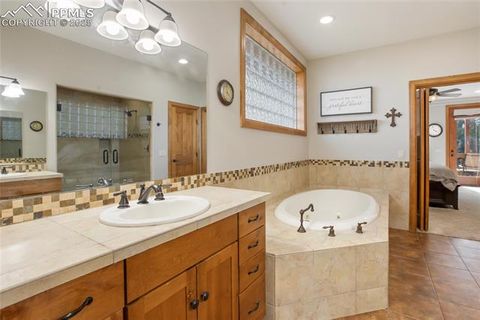 Tiny photo for 1230 Cottontail Trail, Woodland Park, CO 80863 (MLS # 3834808)