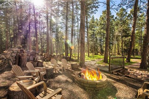 Tiny photo for 1230 Cottontail Trail, Woodland Park, CO 80863 (MLS # 3834808)