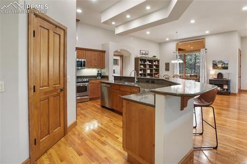 Tiny photo for 1230 Cottontail Trail, Woodland Park, CO 80863 (MLS # 3834808)