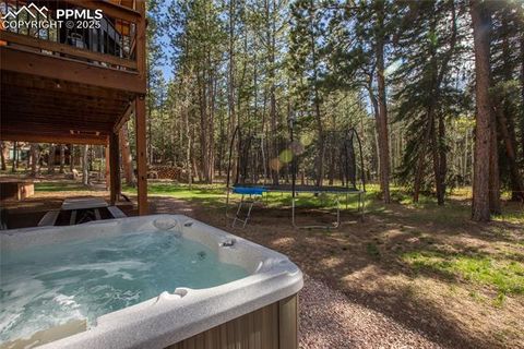 Tiny photo for 1230 Cottontail Trail, Woodland Park, CO 80863 (MLS # 3834808)