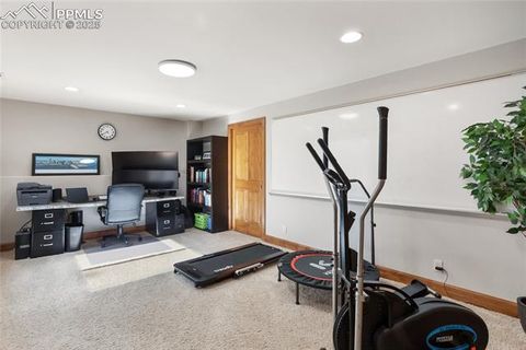 Tiny photo for 1230 Cottontail Trail, Woodland Park, CO 80863 (MLS # 3834808)