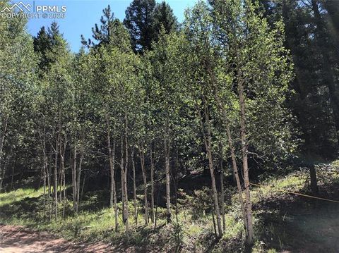 Photo of 3015 N Mountain Estates Road, Florissant, CO 80816 (MLS # 4682467)