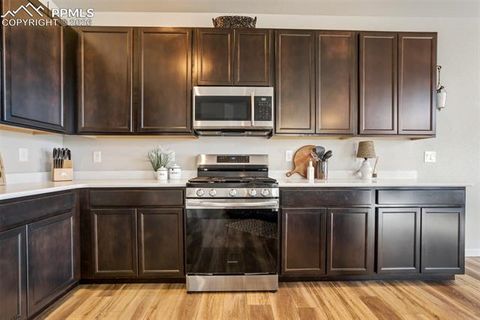 Tiny photo for 6994 Peachleaf Drive, Colorado Springs, CO 80925 (MLS # 2158898)