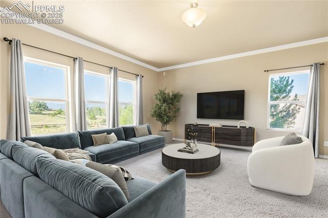 Properties For Sale Listings 1235 Woodmoor Acres Drive