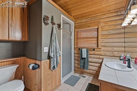 Tiny photo for 918 Douglas Fir Drive, Woodland Park, CO 80863 (MLS # 4060771)