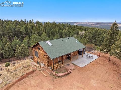 Photo of 918 Douglas Fir Drive, Woodland Park, CO 80863 (MLS # 4060771)