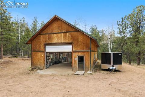 Tiny photo for 918 Douglas Fir Drive, Woodland Park, CO 80863 (MLS # 4060771)
