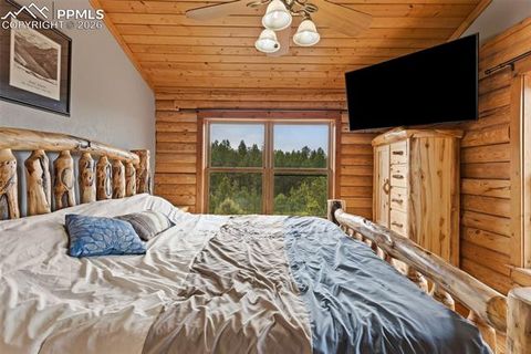 Tiny photo for 918 Douglas Fir Drive, Woodland Park, CO 80863 (MLS # 4060771)