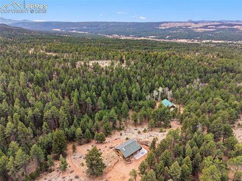 Tiny photo for 918 Douglas Fir Drive, Woodland Park, CO 80863 (MLS # 4060771)